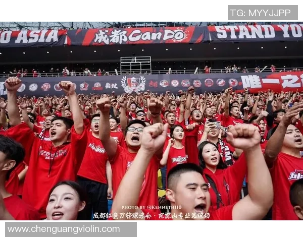 足球明星激情瞬间集锦展现绿茵场上的荣耀与梦想