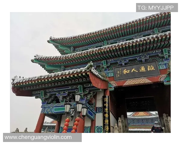 南京排球队在洲际杯中的团队协作表现值得称赞与反思